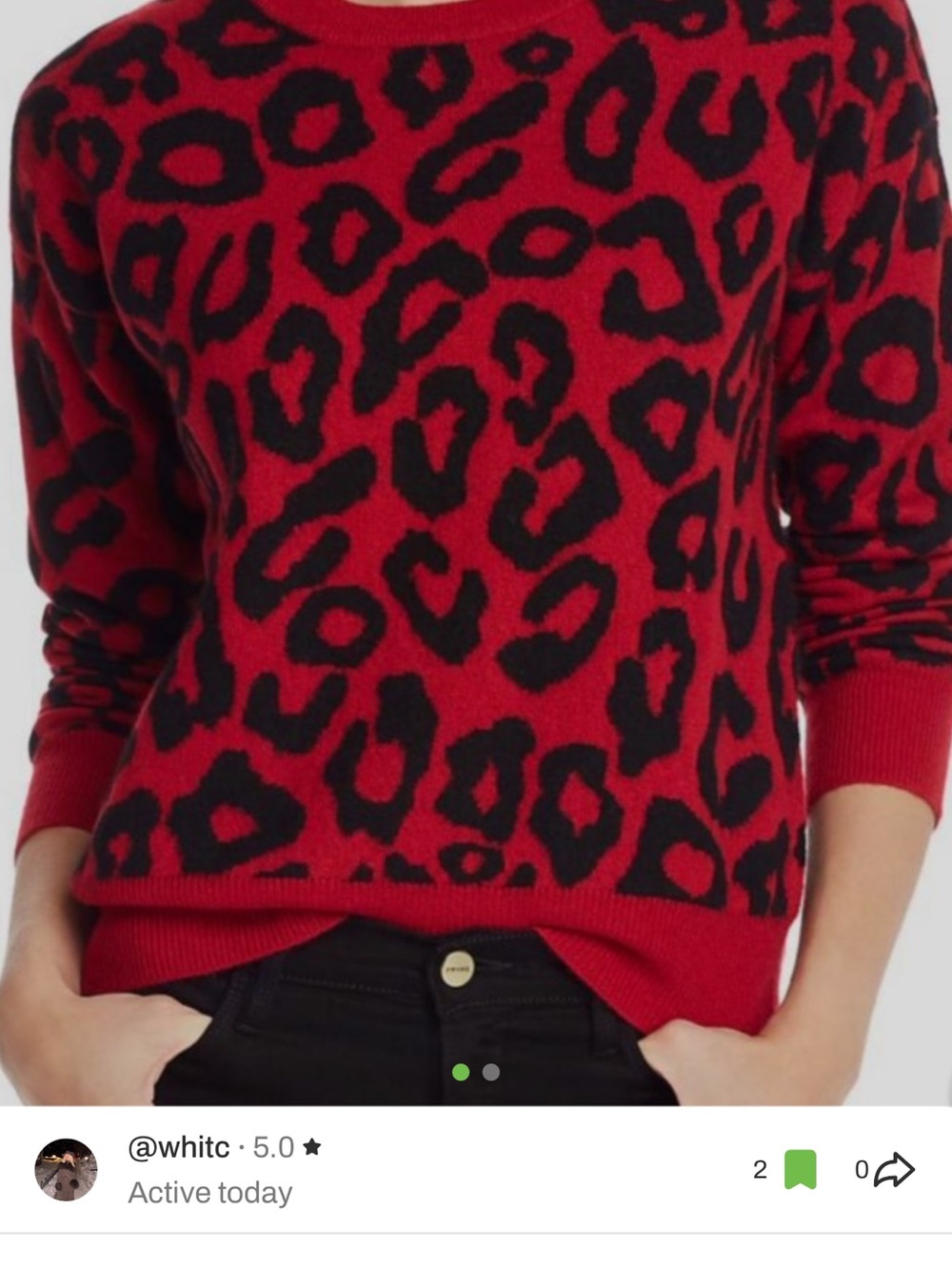 Aqua Red and Black Leopard Crewneck Sweater